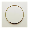 BERKER S.1 Draaiknop t.b.v. dimmer